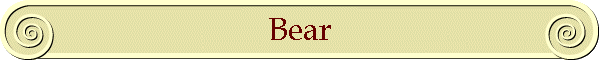 Bear