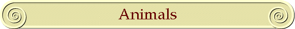 Animals