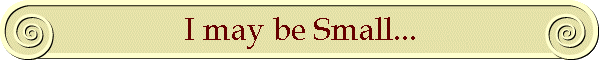 I may be Small...