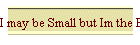 I may be Small but Im the Boss